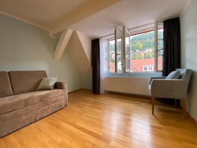 ハイデルベルクBoardinghouse Goethehausアパートメント エクステリア 写真