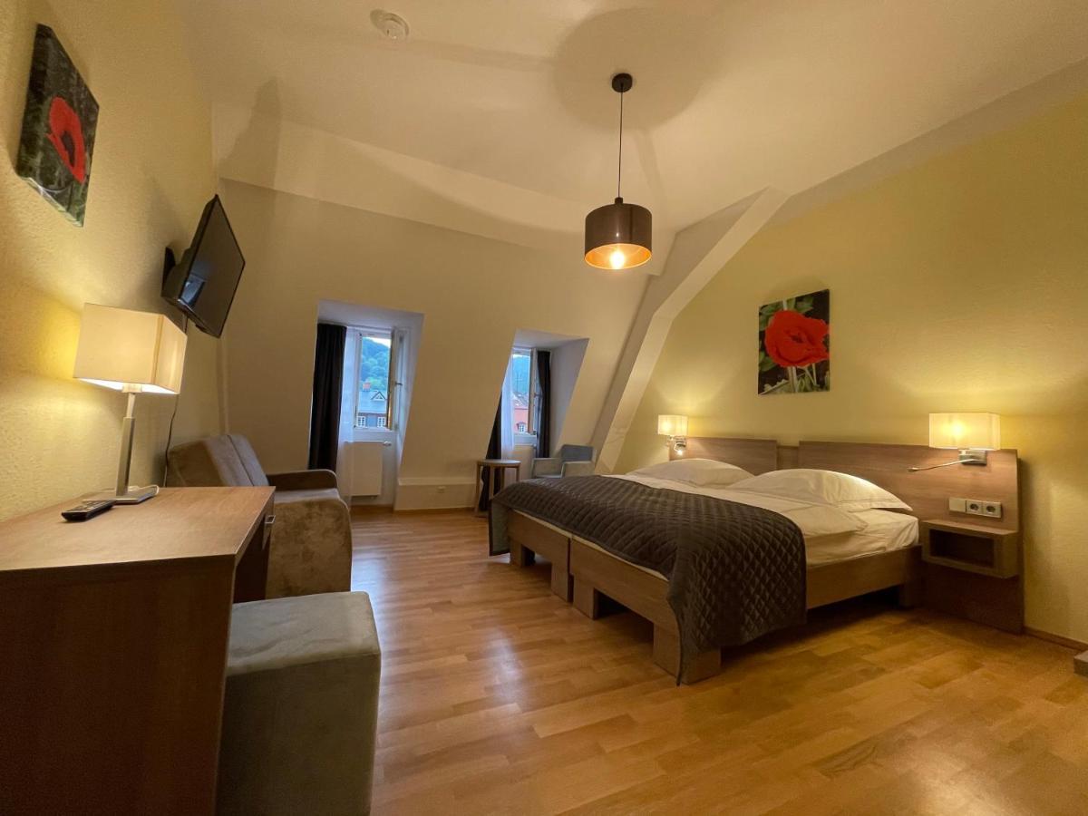 ハイデルベルクBoardinghouse Goethehausアパートメント エクステリア 写真